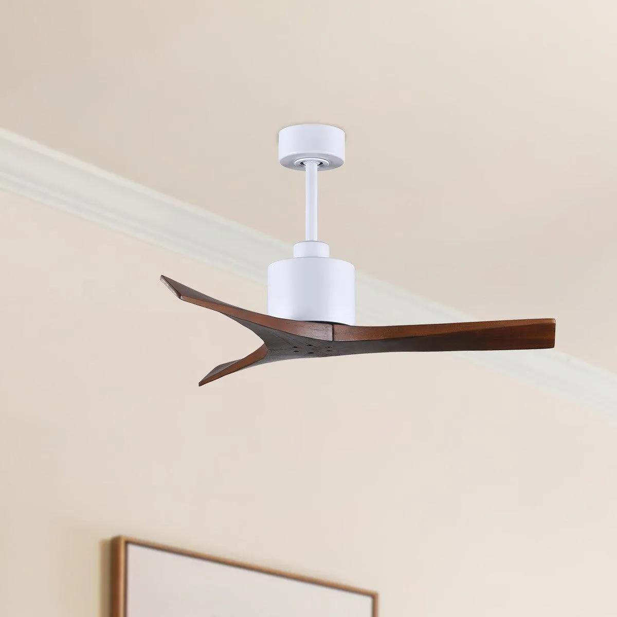 Mollywood 42 Inch White and Walnut Damp Rated Ceiling Fan with Remote