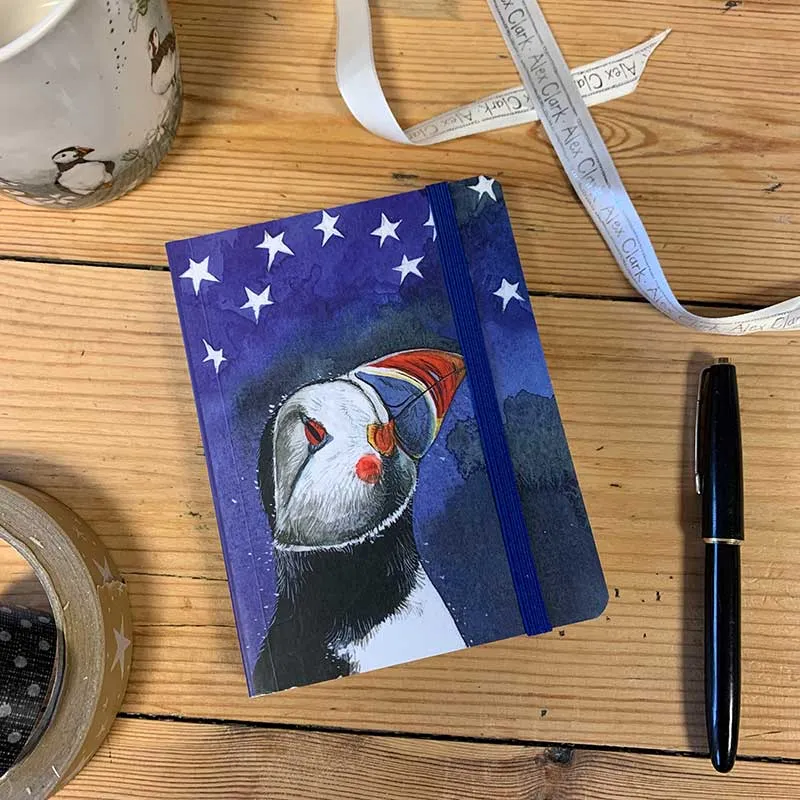 SCN28 Puffin Small Chunky Notebook By Alex Clark Art