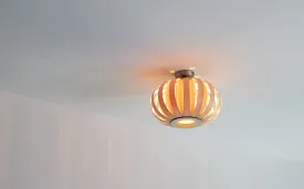 Modern Urchin Design Small Flush Mount Ceiling Light Fixture